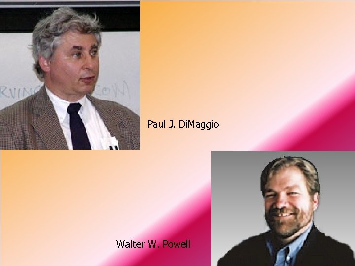 Projektowe uwarunkowania struktury organizacyjnej Paul J. Di. Maggio Walter W. Powell dr hab. Jerzy