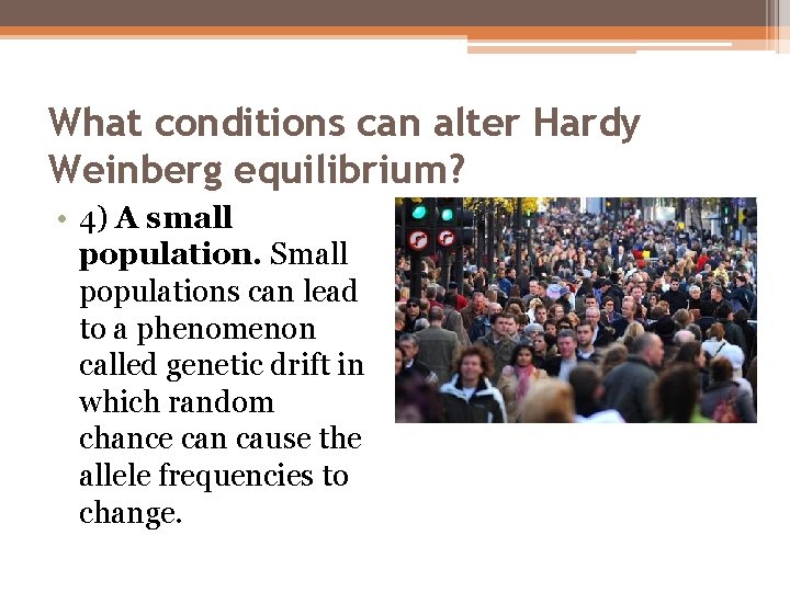 What conditions can alter Hardy Weinberg equilibrium? • 4) A small population. Small populations