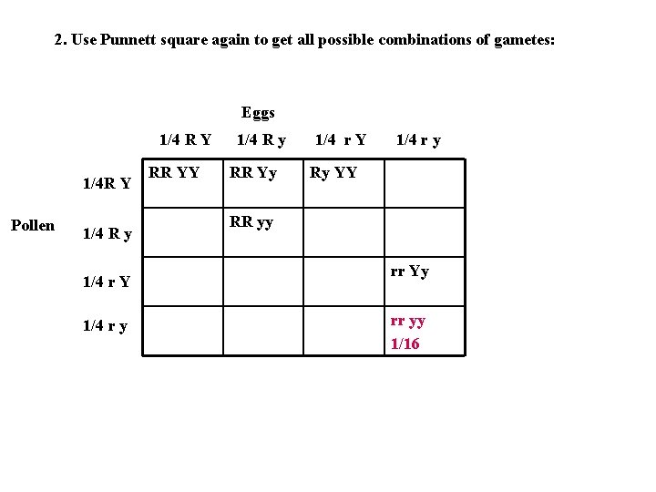 2. Use Punnett square again to get all possible combinations of gametes: Eggs 1/4