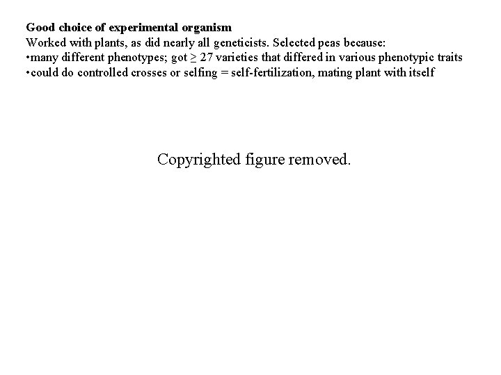 Good choice of experimental organism Worked with plants, as did nearly all geneticists. Selected