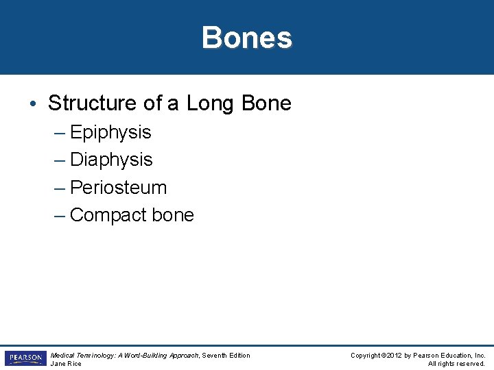 Bones • Structure of a Long Bone – Epiphysis – Diaphysis – Periosteum –