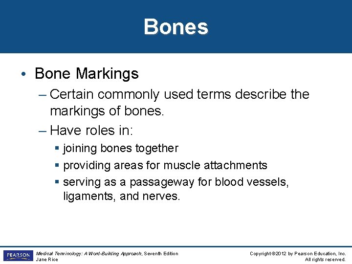 Bones • Bone Markings – Certain commonly used terms describe the markings of bones.
