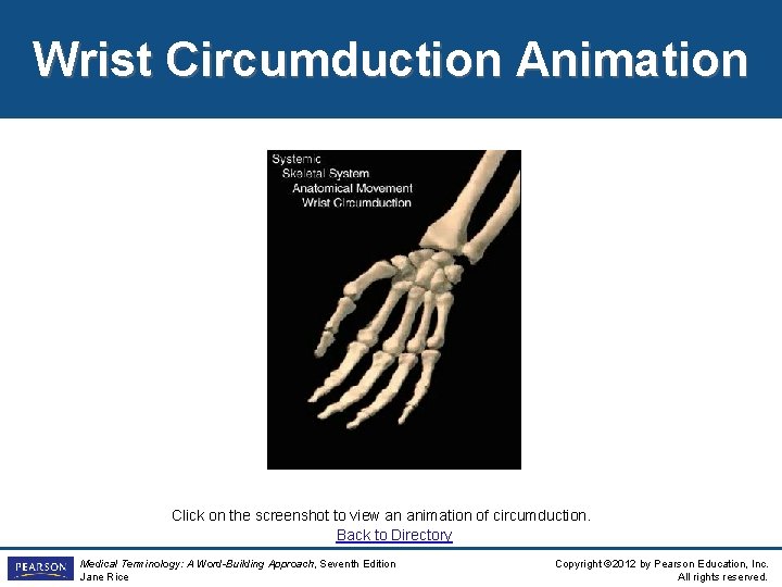 Wrist Circumduction Animation Click on the screenshot to view an animation of circumduction. Back