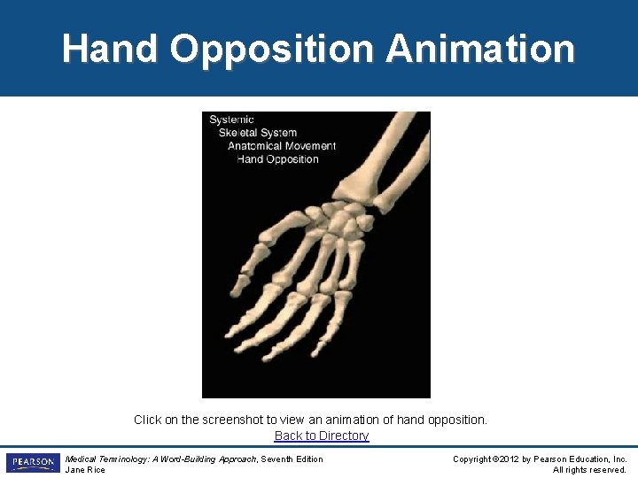 Hand Opposition Animation Click on the screenshot to view an animation of hand opposition.