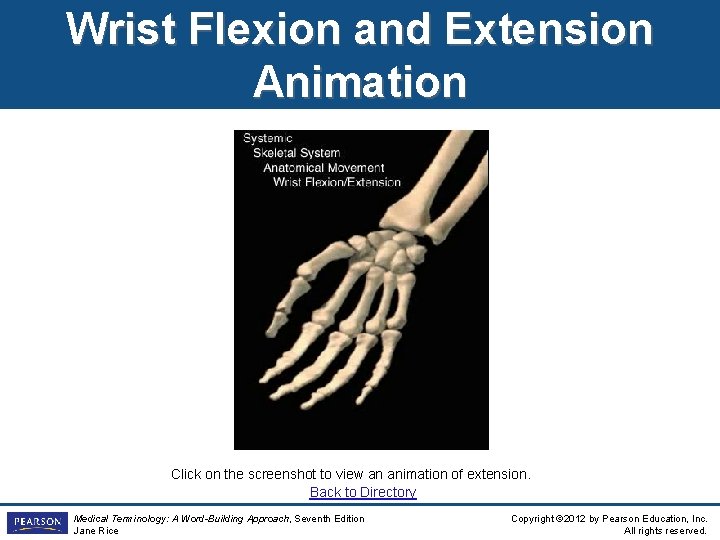 Wrist Flexion and Extension Animation Click on the screenshot to view an animation of
