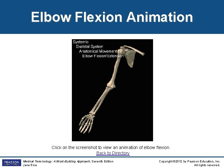 Elbow Flexion Animation Click on the screenshot to view an animation of elbow flexion.