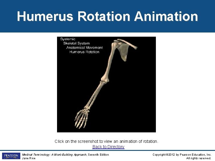 Humerus Rotation Animation Click on the screenshot to view an animation of rotation. Back