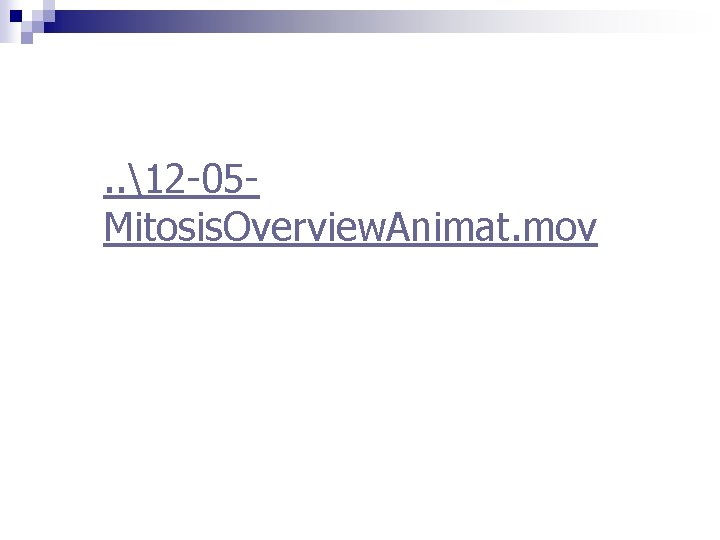 . . 12 -05 Mitosis. Overview. Animat. mov 