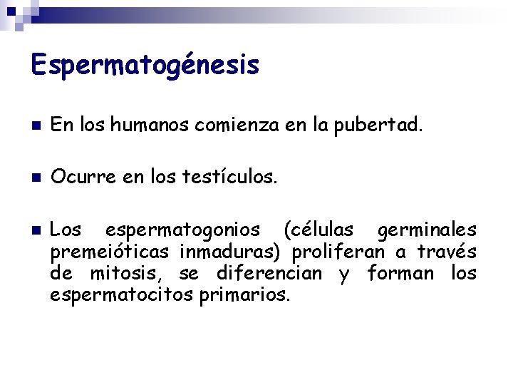 Espermatogénesis n En los humanos comienza en la pubertad. n Ocurre en los testículos.