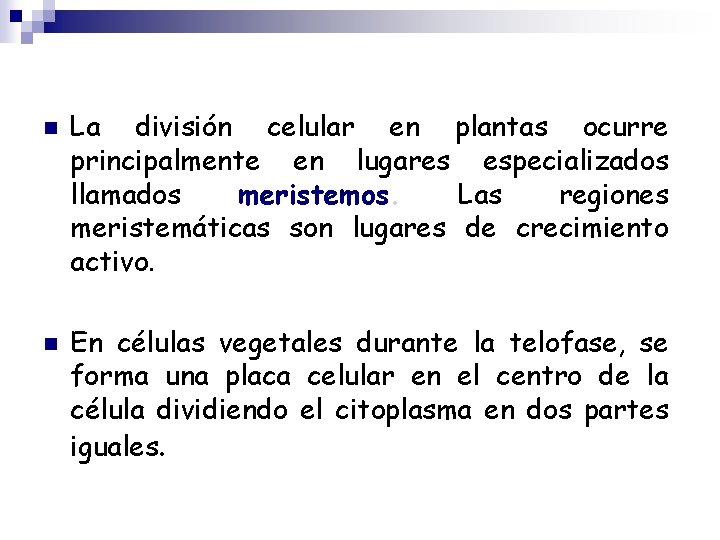 n n La división celular en plantas ocurre principalmente en lugares especializados llamados meristemos.