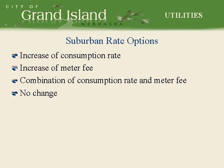 UTILITIES Suburban Rate Options Increase of consumption rate Increase of meter fee Combination of