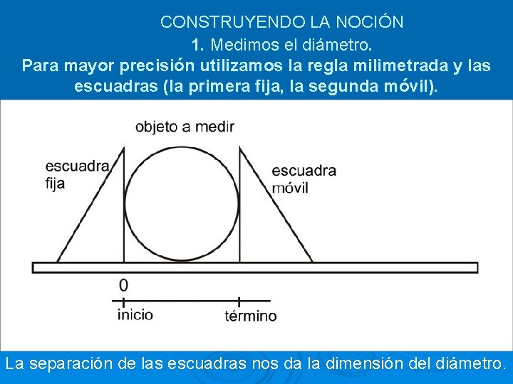 CONSTRUYENDO LA NOCIÓN 1. Medimos el diámetro. Para mayor precisión utilizamos la regla milimetrada