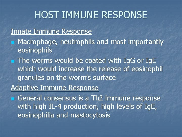 HOST IMMUNE RESPONSE Innate Immune Response n Macrophage, neutrophils and most importantly eosinophils n