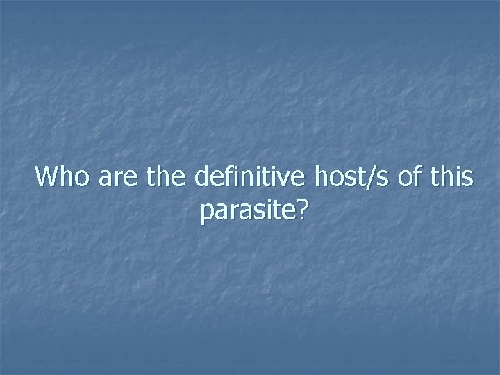 Who are the definitive host/s of this parasite? 