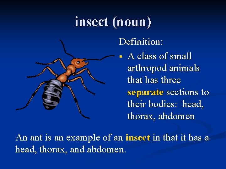 insect (noun) Definition: § A class of small arthropod animals that has three separate