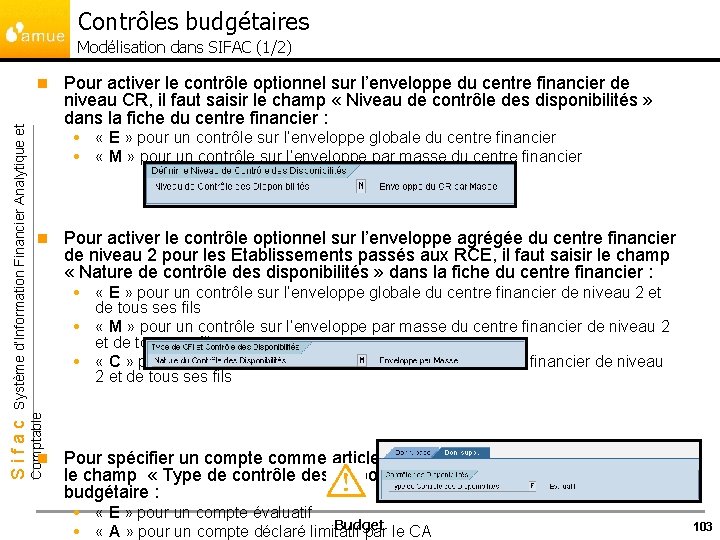 Contrôles budgétaires Modélisation dans SIFAC (1/2) Pour activer le contrôle optionnel sur l’enveloppe du