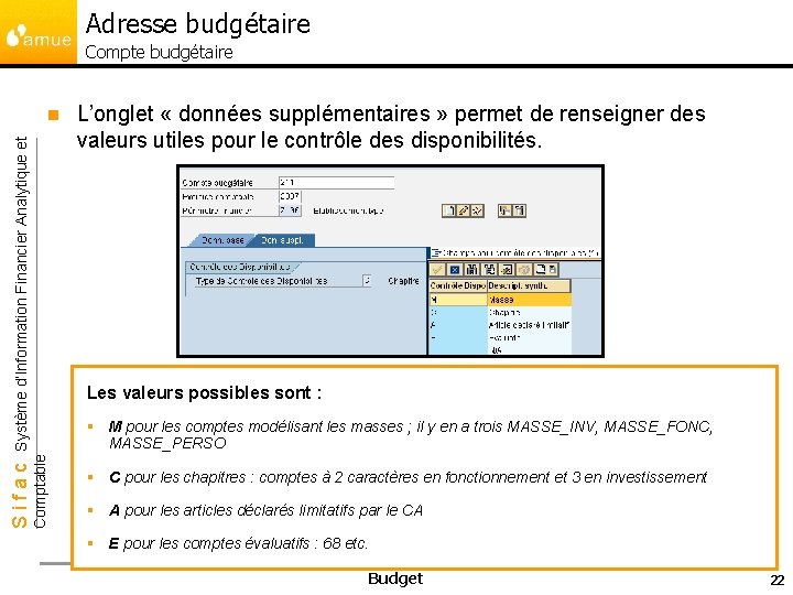 Adresse budgétaire Compte budgétaire L’onglet « données supplémentaires » permet de renseigner des valeurs
