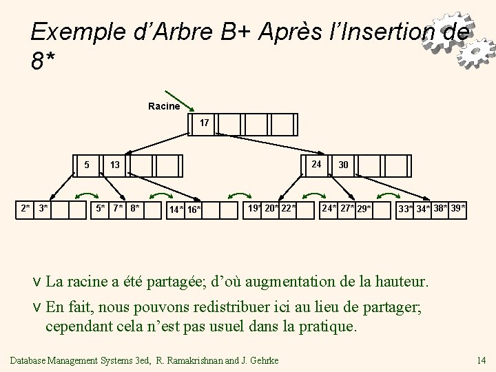 Exemple d’Arbre B+ Après l’Insertion de 8* Racine 17 5 2* 3* 24 13