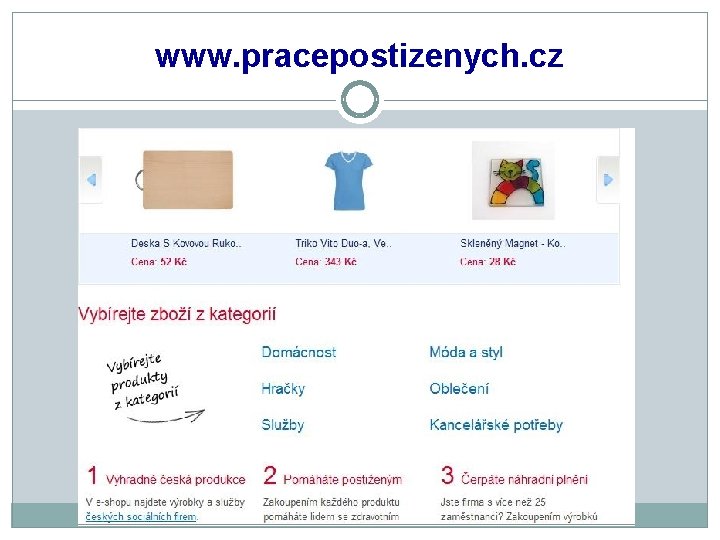 www. pracepostizenych. cz 