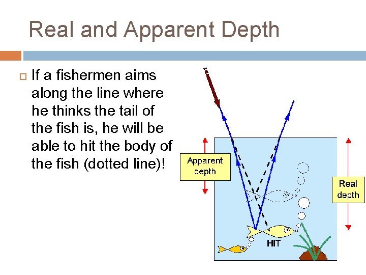 Real and Apparent Depth If a fishermen aims along the line where he thinks