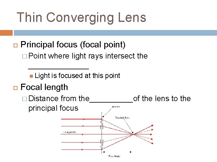Thin Converging Lens Principal focus (focal point) � Point where light rays intersect the