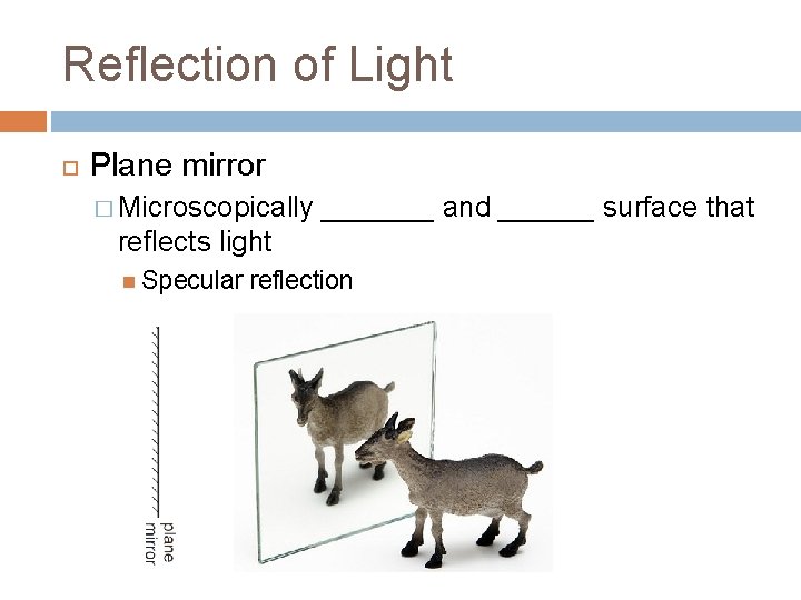 Reflection of Light Plane mirror � Microscopically _______ and ______ surface that reflects light