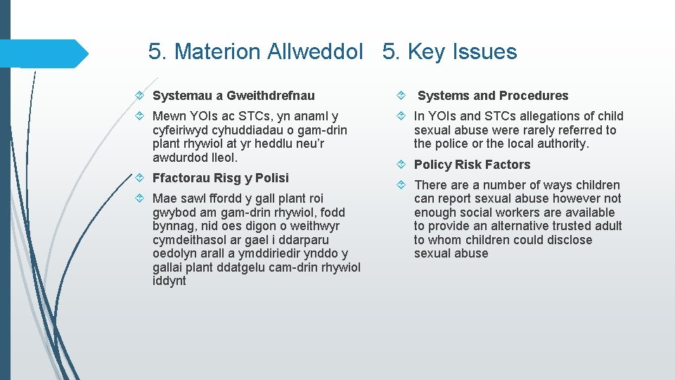 5. Materion Allweddol 5. Key Issues Systemau a Gweithdrefnau Systems and Procedures Mewn YOIs