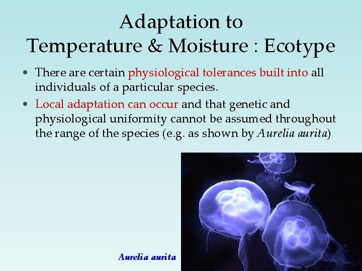 Adaptation to Temperature & Moisture : Ecotype • There are certain physiological tolerances built