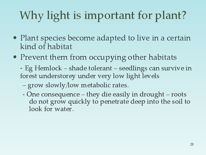 Why light is important for plant? • Plant species become adapted to live in