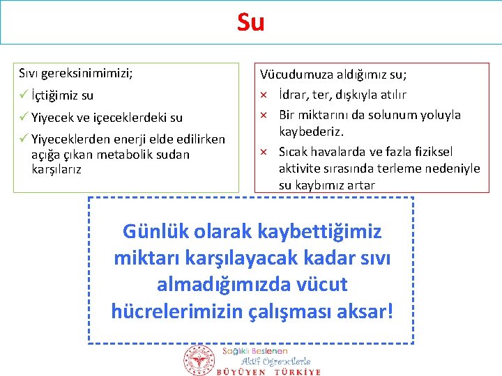 Su Sıvı gereksinimimizi; ü İçtiğimiz su ü Yiyecek ve içeceklerdeki su ü Yiyeceklerden enerji