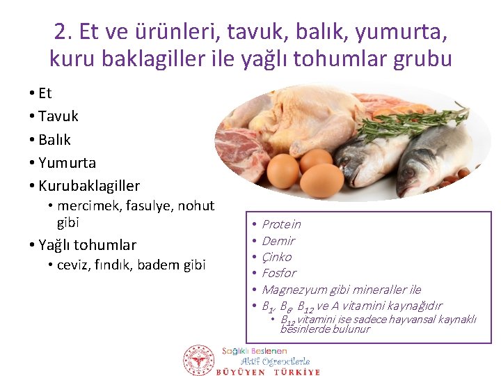 2. Et ve ürünleri, tavuk, balık, yumurta, kuru baklagiller ile yağlı tohumlar grubu •