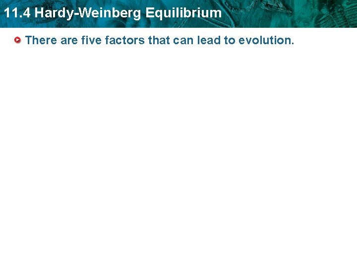 11. 4 Hardy-Weinberg Equilibrium There are five factors that can lead to evolution. 