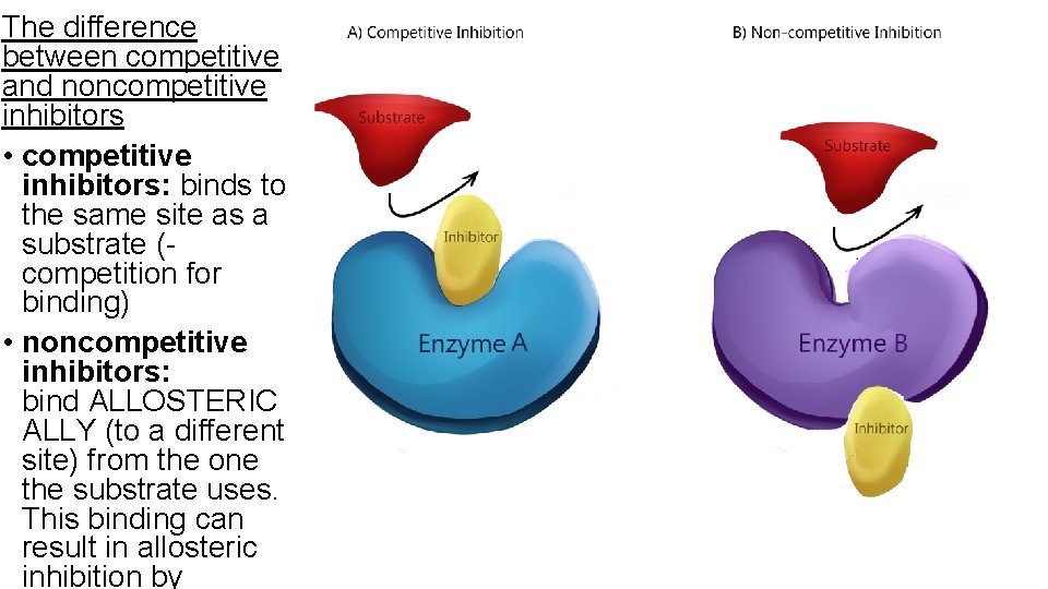 The difference between competitive and noncompetitive inhibitors • competitive inhibitors: binds to the same