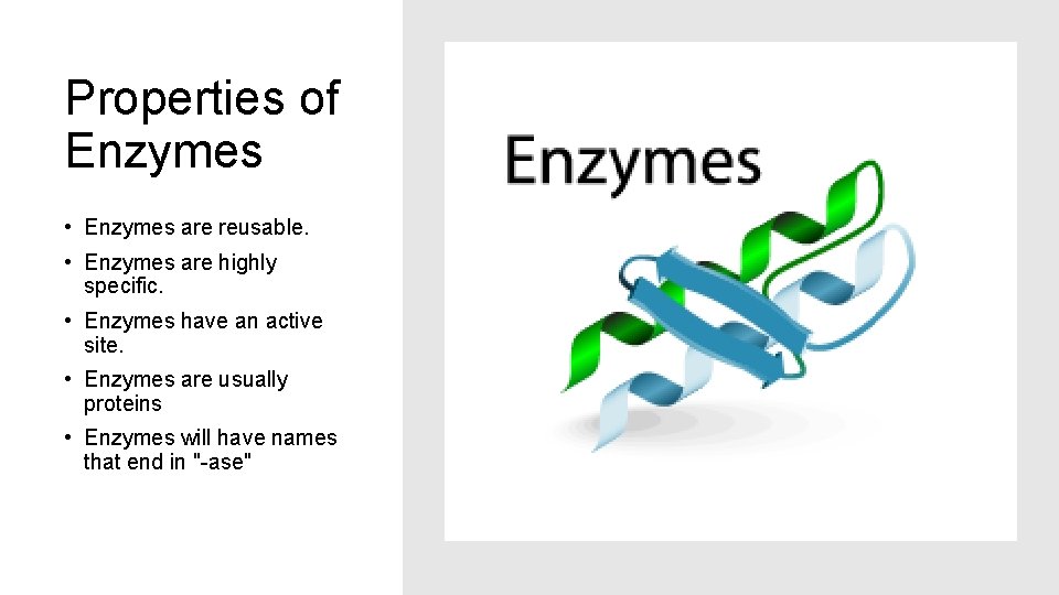 Properties of Enzymes • Enzymes are reusable. • Enzymes are highly specific. • Enzymes