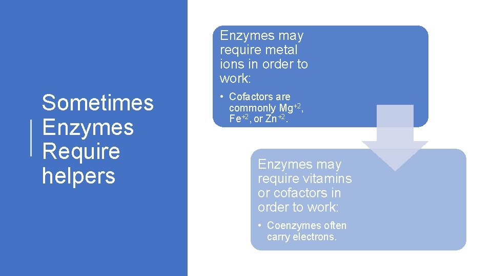 Enzymes may require metal ions in order to work: Sometimes Enzymes Require helpers •