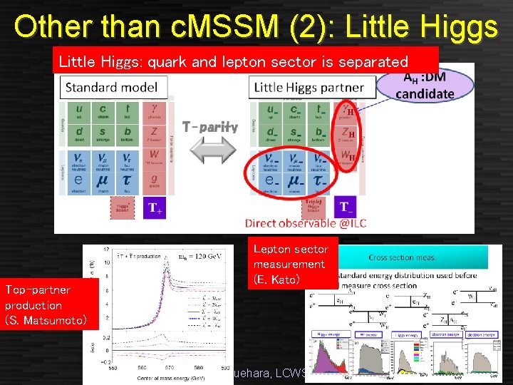 Other than c. MSSM (2): Little Higgs: quark and lepton sector is separated Top-partner