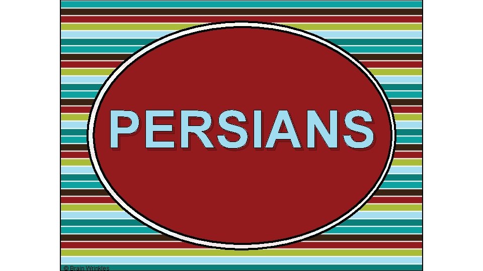 PERSIANS © Brain Wrinkles 