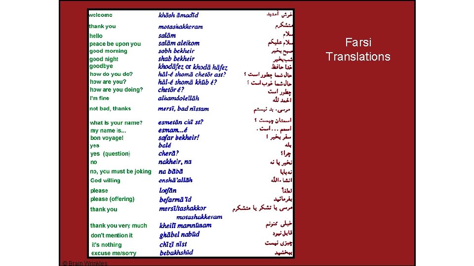 Farsi Translations © Brain Wrinkles 