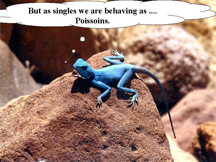 But as singles we are behaving as. . Poissoins. 7 