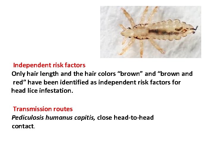 Independent risk factors Only hair length and the hair colors “brown” and “brown and