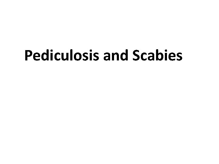 Pediculosis and Scabies 