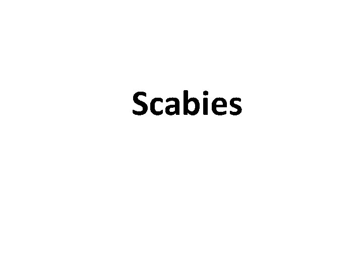 Scabies 