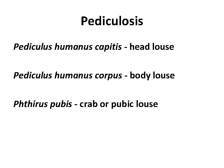 Pediculosis Pediculus humanus capitis - head louse Pediculus humanus corpus - body louse Phthirus
