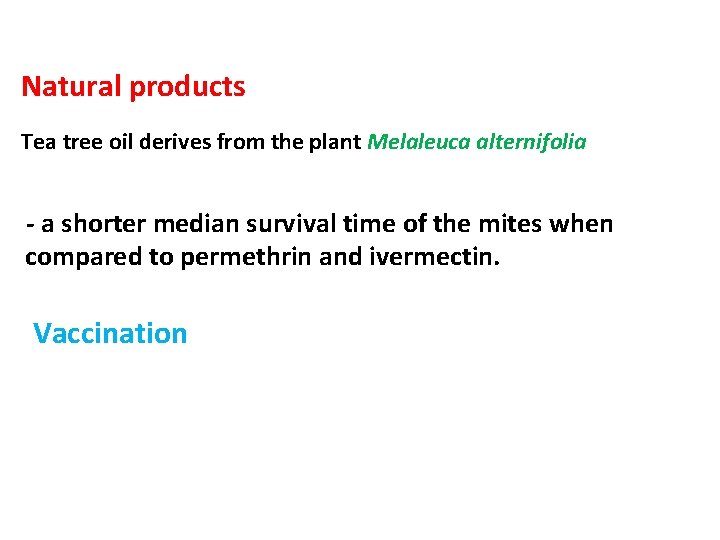 Natural products Tea tree oil derives from the plant Melaleuca alternifolia - a shorter