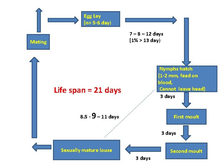 Egg Lay (n= 5 -6 day) 7 – 8 – 12 days (1% >