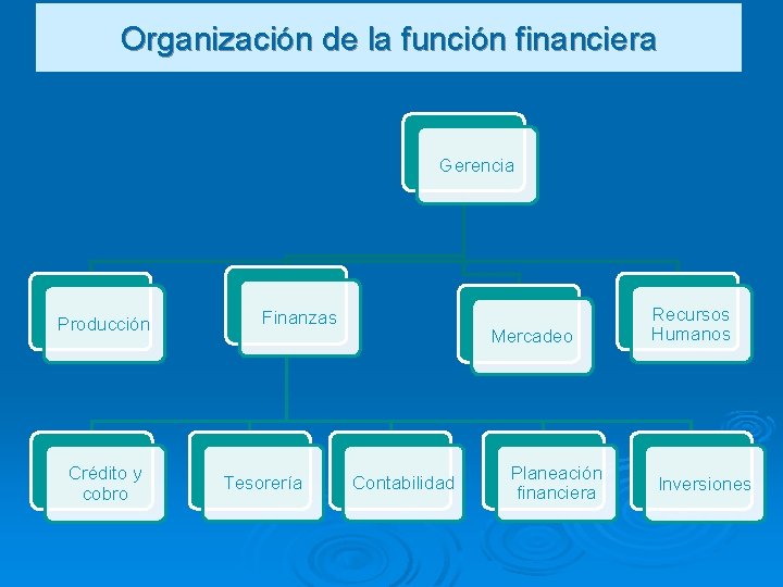 Organización de la función financiera Gerencia Producción Crédito y cobro Finanzas Tesorería Mercadeo Contabilidad