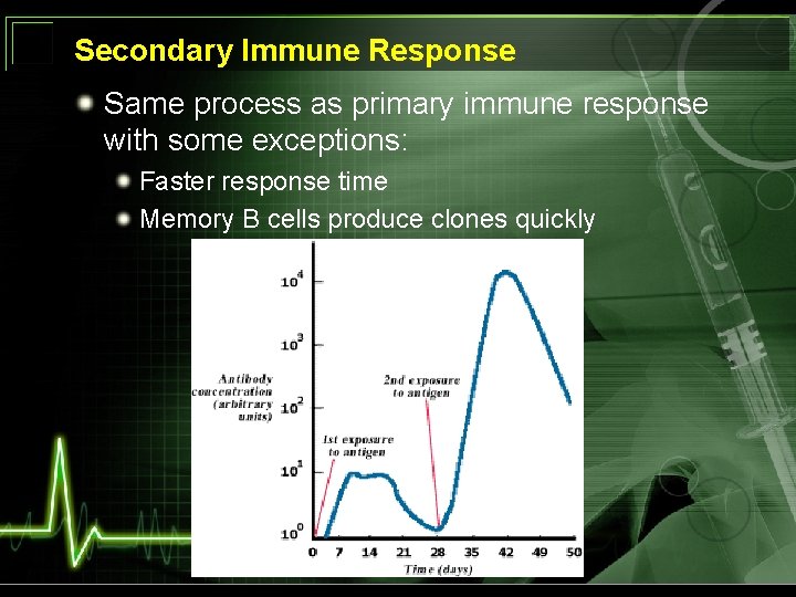 Secondary Immune Response Same process as primary immune response with some exceptions: Faster response