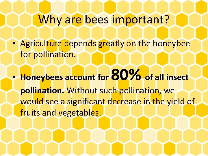 Why are bees important? • Agriculture depends greatly on the honeybee for pollination. 80%