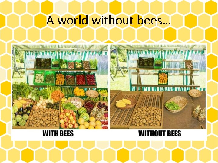 A world without bees… 