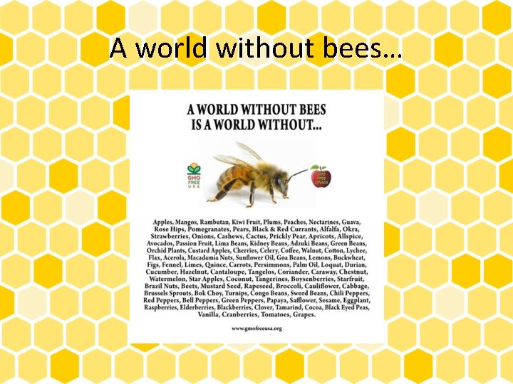 A world without bees… 